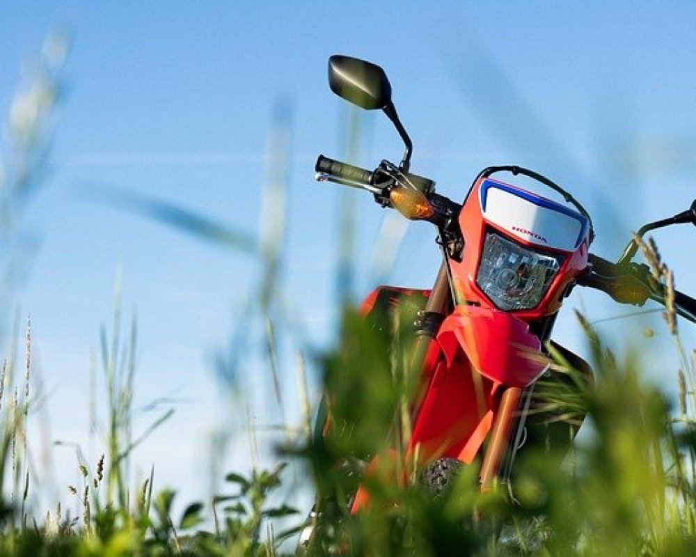 hondabeat138