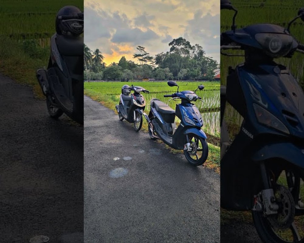 yamahamio1